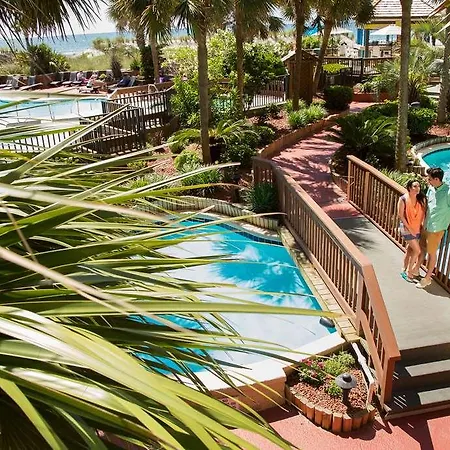 Beach Cove Resort 